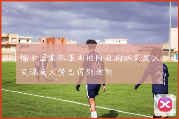 瑞士国家队集训地附近树林突发火灾现场火势已得到控制